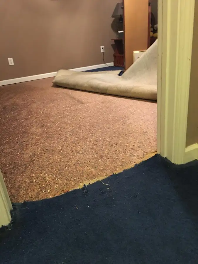 Carpet pad removal revealing water damage during Water Mitigation Services in Lake Shore
